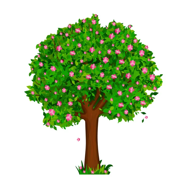 Spring tree with green leaves and pink flowers — Stock Vector