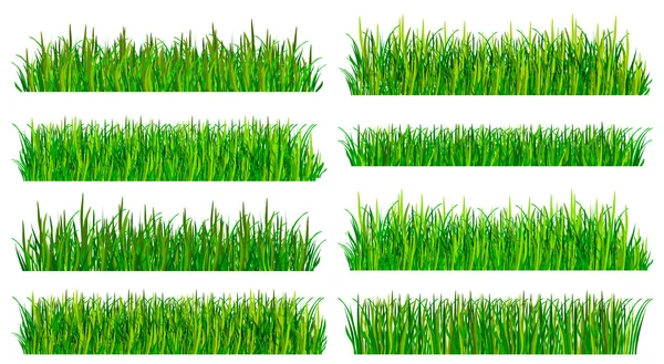 신선한 녹색 잔디 테두리 설정 — 스톡 벡터