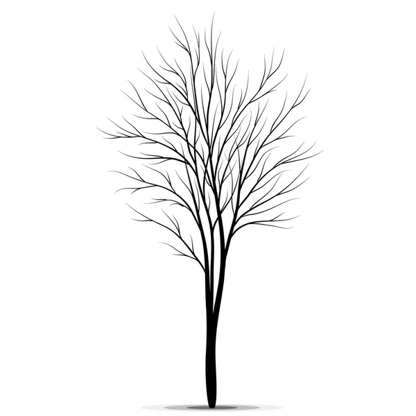 Silueta de árbol aislada sobre fondo blanco — Archivo Imágenes Vectoriales