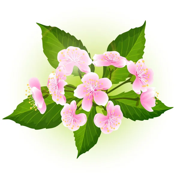 Vettore di ramo di fiore — Vettoriale Stock