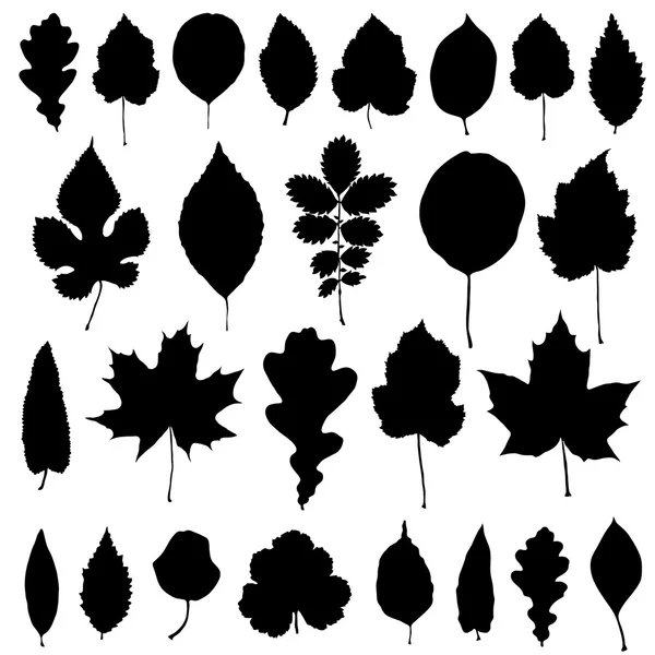 Vektor Set von schwarzen Blättern Silhouette — Stockvektor
