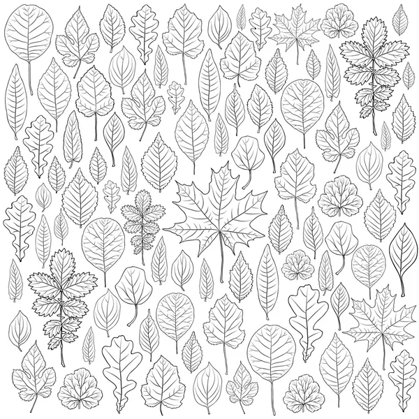 Yaprakları siluet vektör kümesi