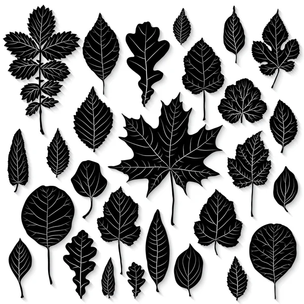 Векторний набір листя силует — стоковий вектор