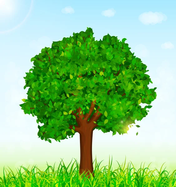 Зелений пейзаж з деревом і трав'яним фоном — стоковий вектор