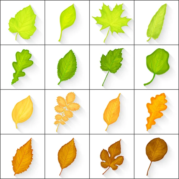 Gröna och gula blad set — Stock vektor