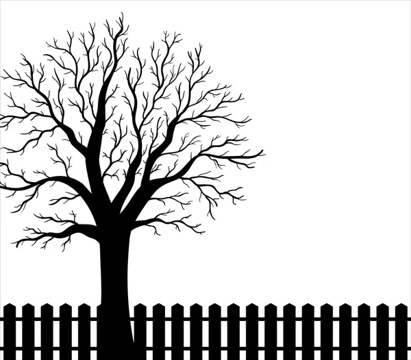 Backyard background with tree and fence — Stock Vector