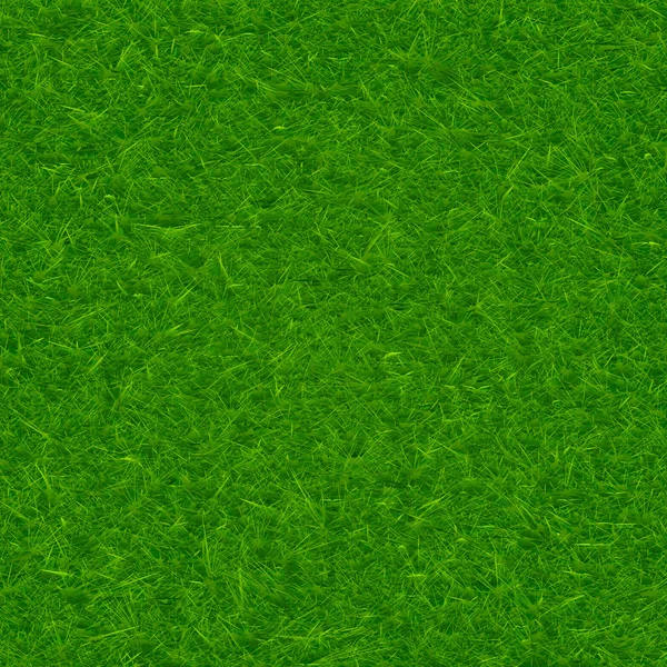 Hierba verde textura fondo — Vector de stock