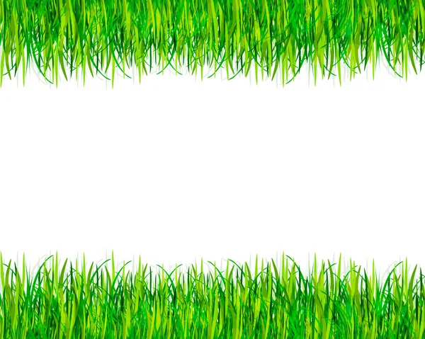 Groen gras banner. Vector achtergrond — Stockvector