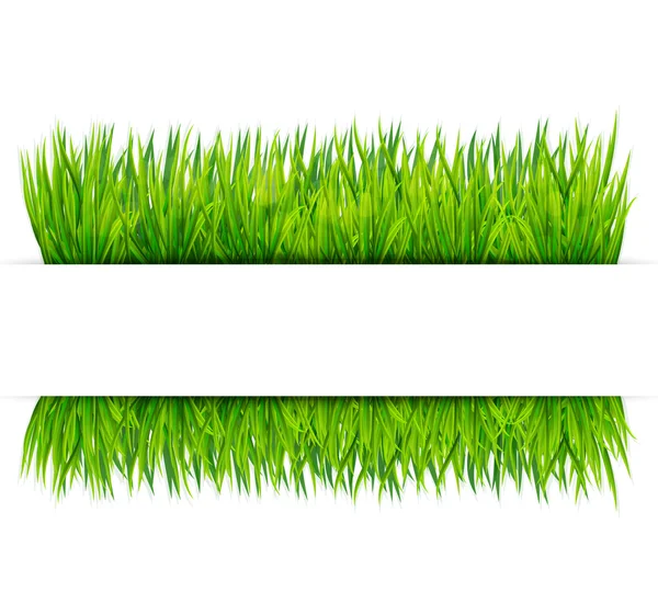 Green grass banner. Vector background — Stock Vector