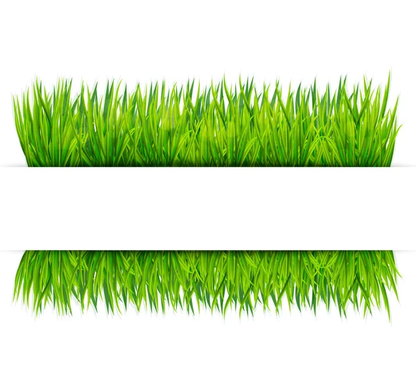 Green grass banner. Vector background Stock Vector Image by ©MarBom