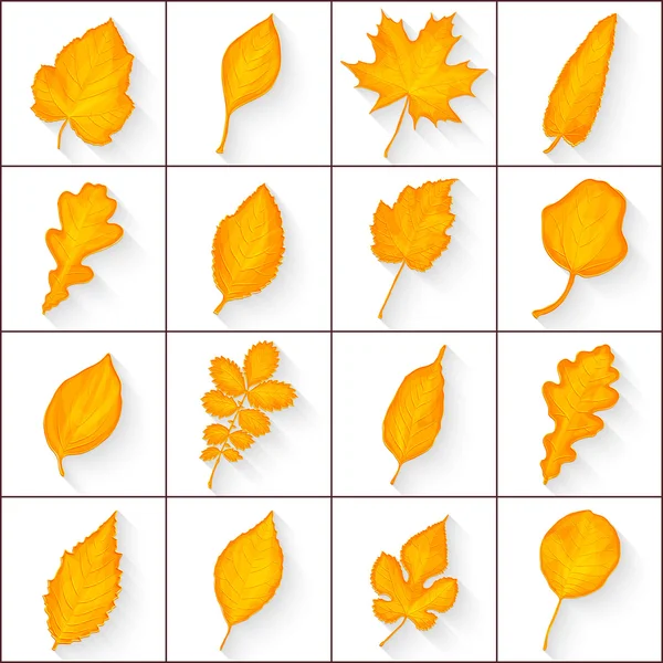 Autumn leaves set — Stock Vector