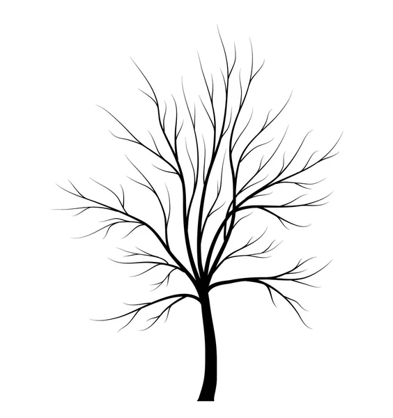 Träd silhuett isolerad på vit bakgrund — Stock vektor