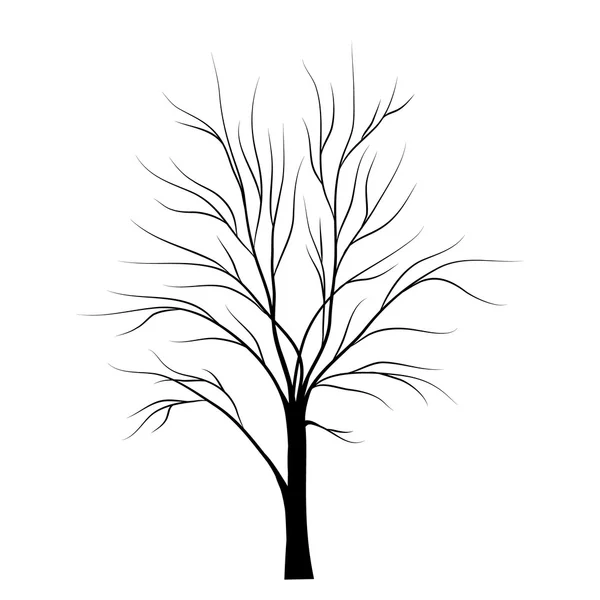 Silhouette d'arbre isolé sur fond blanc — Image vectorielle