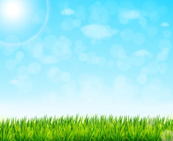 Natur Hintergrund mit grünem Gras und blauem Himmel — Stockvektor