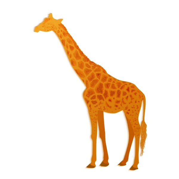 Girafa vetorial em branco — Vetor de Stock