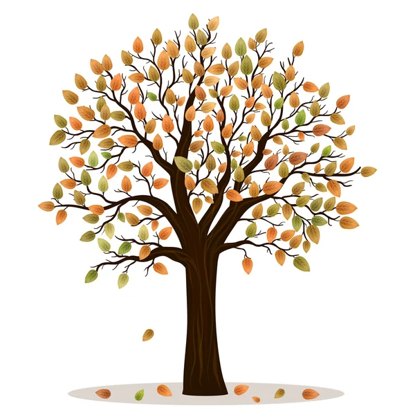 Herfst boom vector — Stockvector