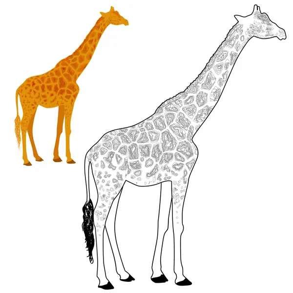 Coloriage girafe — Image vectorielle