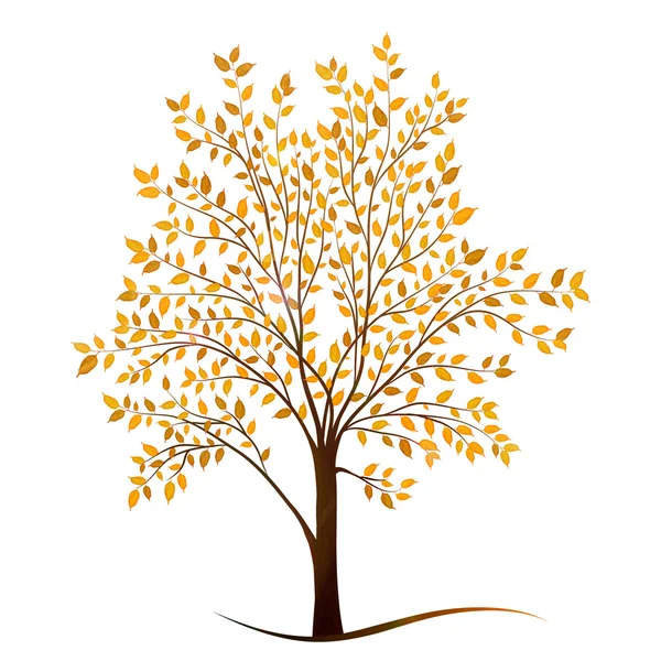 Herbstbaum mit Blättern auf weißem Hintergrund — Stockvektor