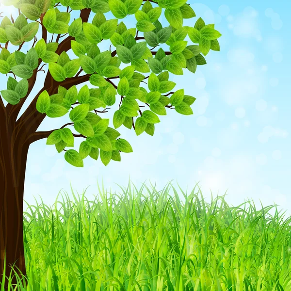 Grüne Landschaft Hintergrund mit Baum und Gras — Stockvektor