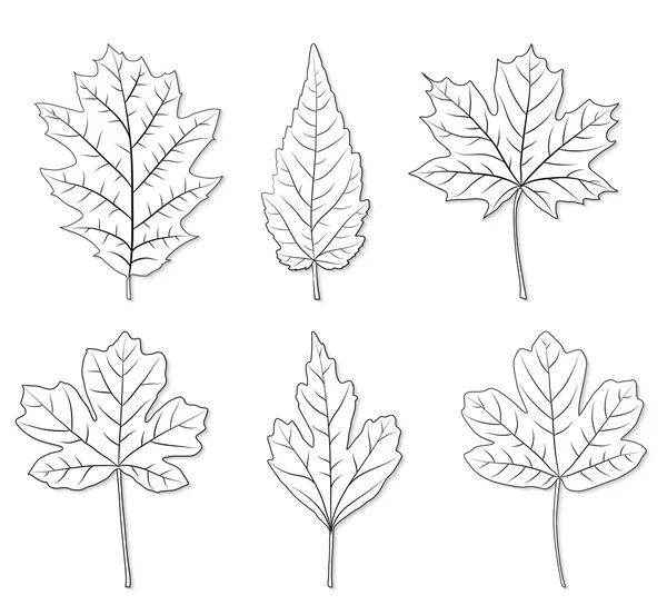 Ensemble silhouette feuilles vectorielles — Image vectorielle