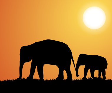 Afrika fili silhouettes