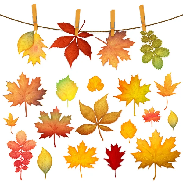 Kolorowe jesienne liście — Wektor stockowy