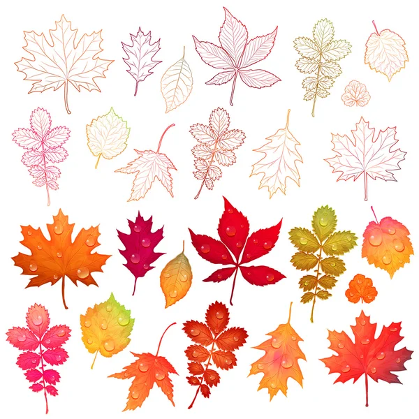 Ensemble de feuilles colorées vecteur — Image vectorielle