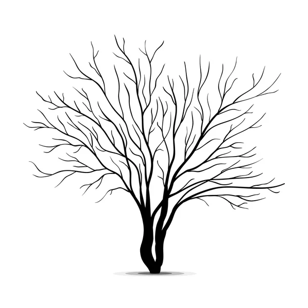 Silueta de árbol aislada sobre fondo blanco — Archivo Imágenes Vectoriales