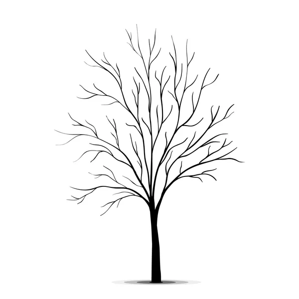 Träd silhuett isolerad på vit bakgrund — Stock vektor