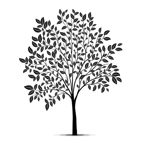 Baum mit Blättern Silhouettenvektor — Stockvektor