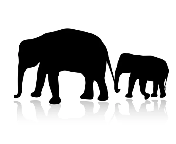 Silhouette de famille d'éléphants isolée sur fond blanc — Image vectorielle