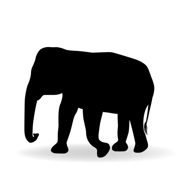 Silhueta de elefante isolada sobre fundo branco — Vetor de Stock