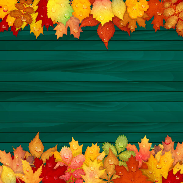 Colorful leaves on wooden background