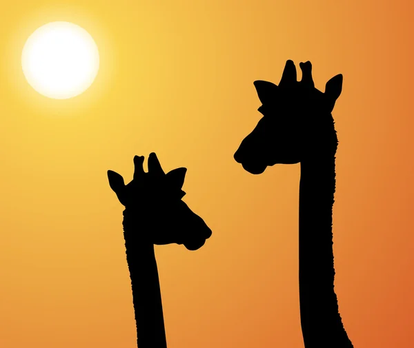 Жирафы Африки на векторном фоне — стоковый вектор