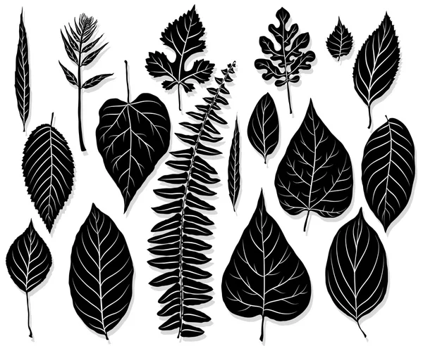 Ensemble vectoriel de feuilles silhouette — Image vectorielle