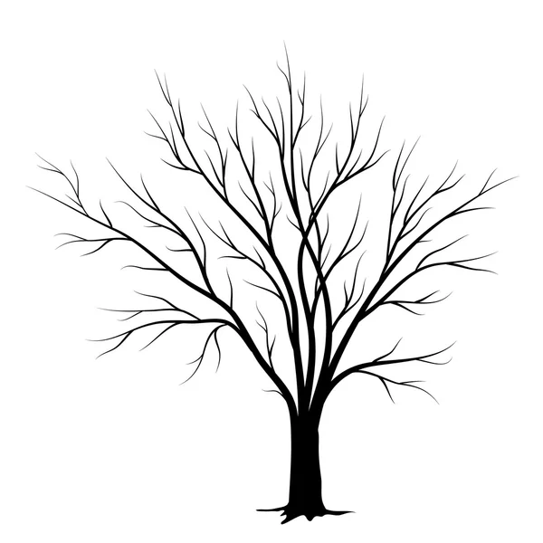 Silueta stromu izolované na bílém pozadí — Stockový vektor