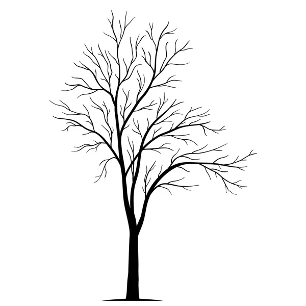 Träd silhouette isolerad på vit bakgrund vektor — Stock vektor