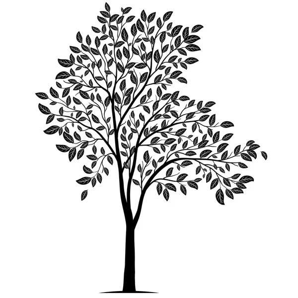 Árbol con hojas silueta vector — Archivo Imágenes Vectoriales