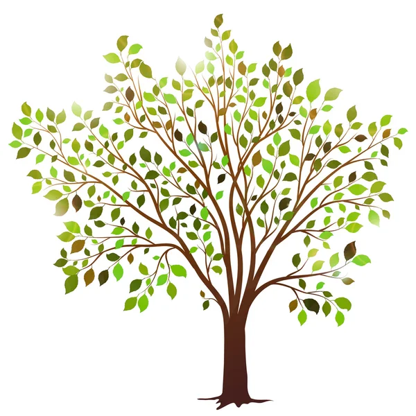 vektör ağaç beyaz zemin üzerine yeşil yaprakları ile