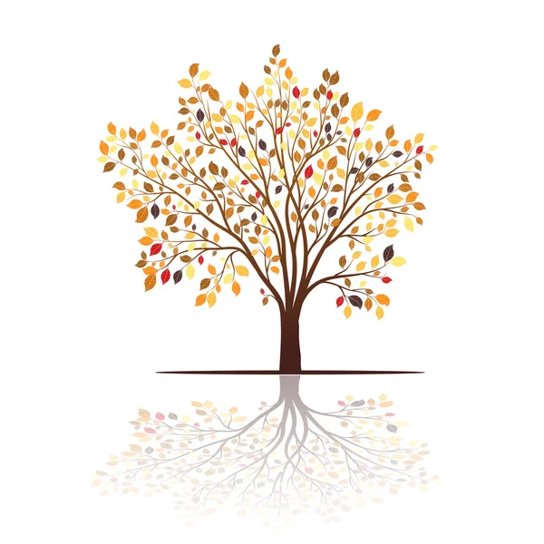 Drzewo jesień kolorowy liść wektor — Wektor stockowy