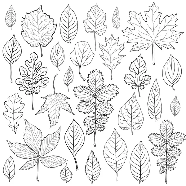 Feuilles vecteur ensemble silhouette. Coloriage livre page pour adulte — Image vectorielle