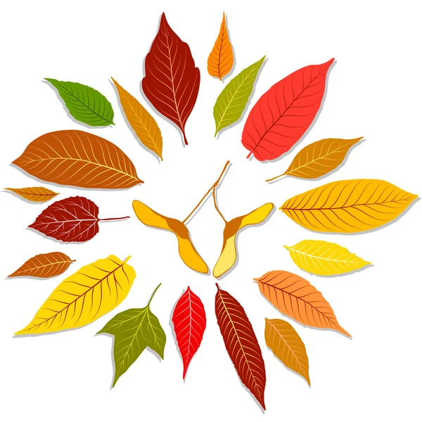 Reeks van kleurrijke herfst bladeren vector — Stockvector