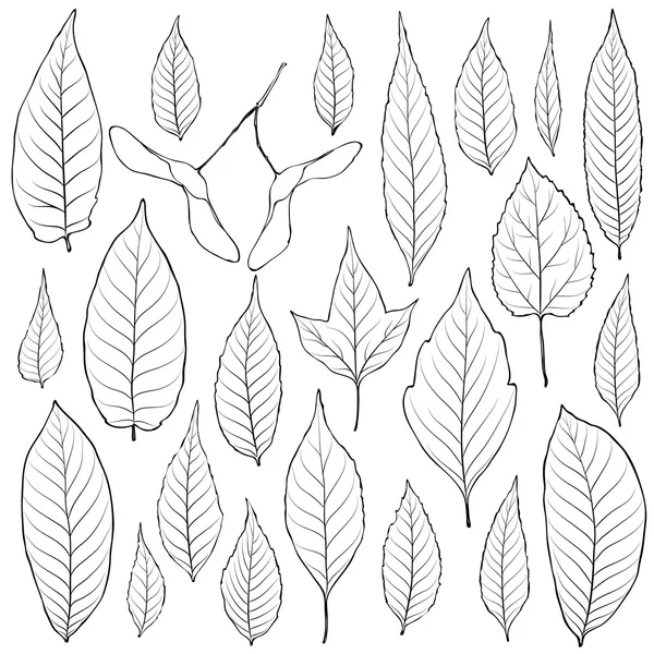 Feuilles contour ensemble vecteur. Coloriage livre page pour adulte — Image vectorielle