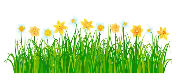 Primavera Frontera Naturaleza Con Flores Hierba Verde Ilustración Vectorial — Vector de stock