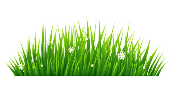 Grünes Gras Isoliert Auf Weißem Hintergrund Vektorillustration — Stockvektor