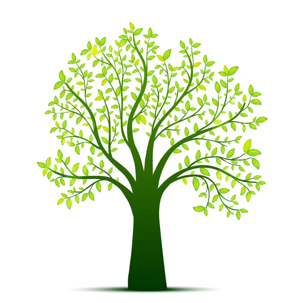 Green tree vector — Stock Vector