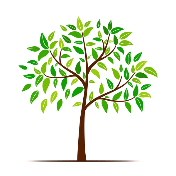 Zelený strom s listy — Stockový vektor
