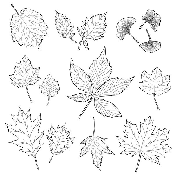 leaves silhouette set