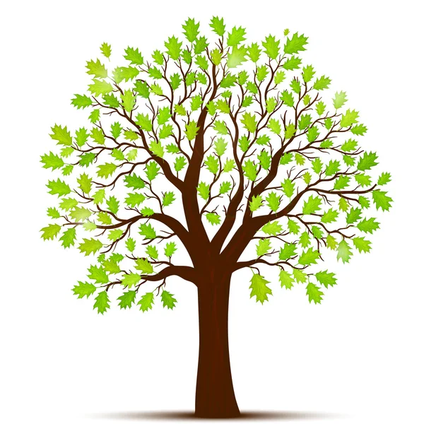 Vecteur d'arbre vert — Image vectorielle