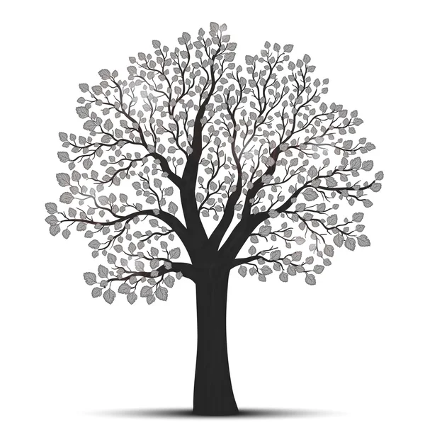 Silueta de árbol con hojas — Archivo Imágenes Vectoriales